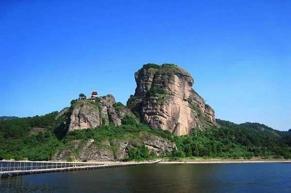 無牙老虎逞猖狂 深圳消殺白蟻公司來打虎