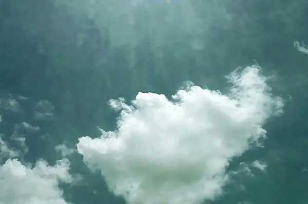 殺蟲公司分享學會正確辨別螞蟻才能快速滅螞蟻