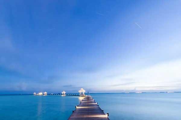 草坪上為什么要裝太陽能滅蚊燈?