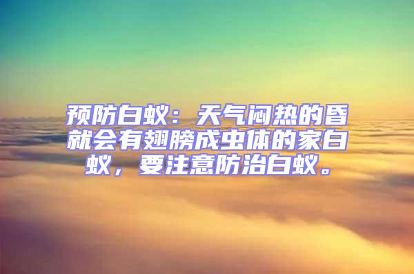 預防白蟻：天氣悶熱的昏就會有翅膀成蟲體的家白蟻，要注意防治白蟻。