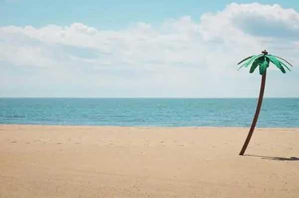 深圳專業(yè)滅蚊蠅公司