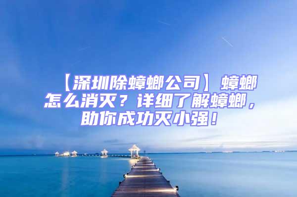 【深圳除蟑螂公司】蟑螂怎么消滅?詳細(xì)了解蟑螂,助你成功滅小強!