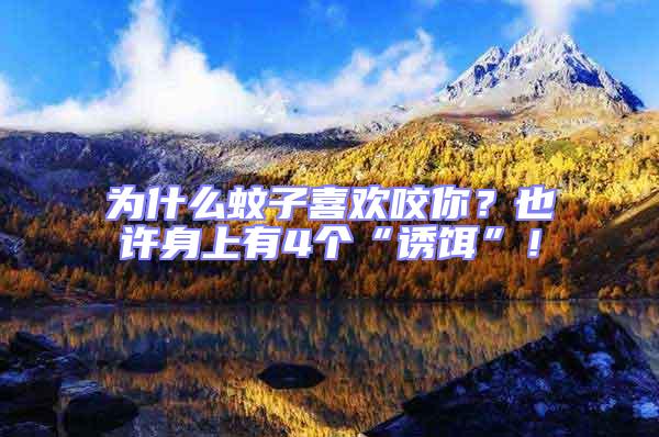 為什么蚊子喜歡咬你？也許身上有4個(gè)“誘餌”！