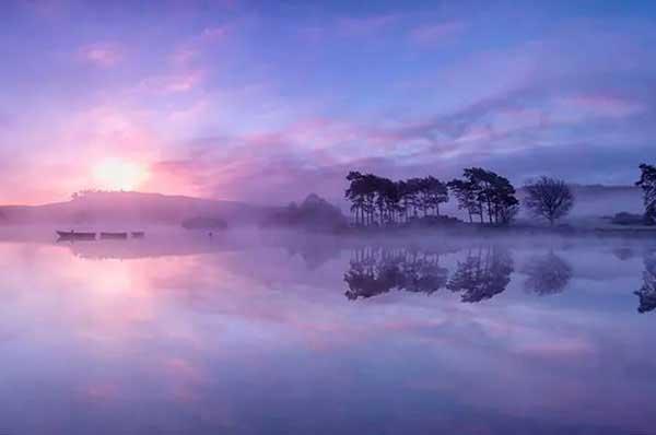 蚊類的化學防治方法是什么？