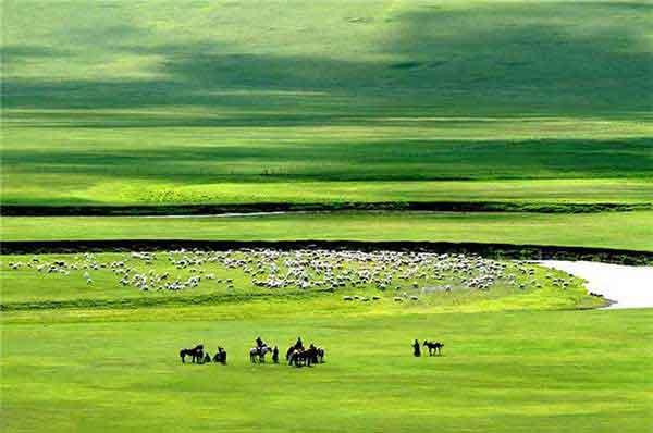 如何消滅螞蟻?4個天然滅螞蟻的方法助您除滅家中螞蟻