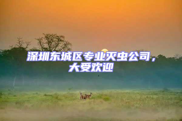 深圳東城區(qū)專業(yè)滅蟲公司，大受歡迎