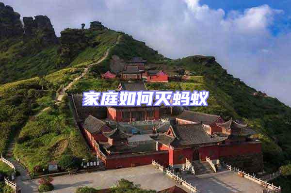 家庭如何滅螞蟻