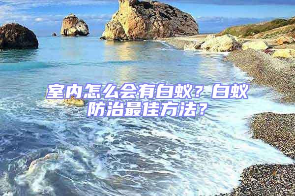 室內(nèi)怎么會有白蟻？白蟻防治最佳方法？
