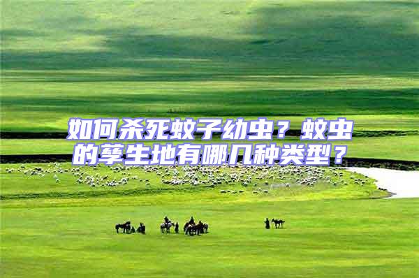 如何殺死蚊子幼蟲(chóng)？蚊蟲(chóng)的孳生地有哪幾種類型？