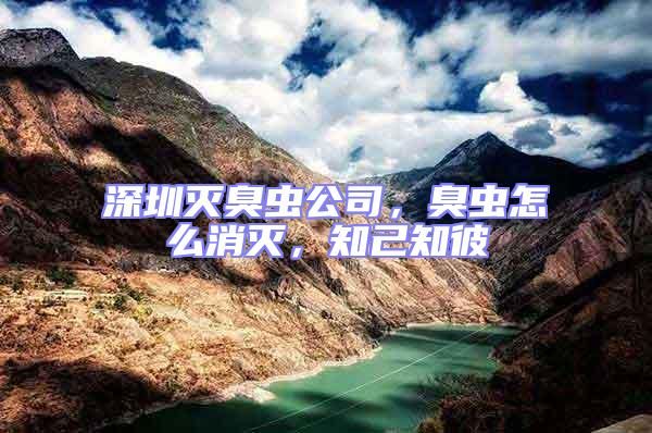 深圳滅臭蟲公司，臭蟲怎么消滅，知己知彼