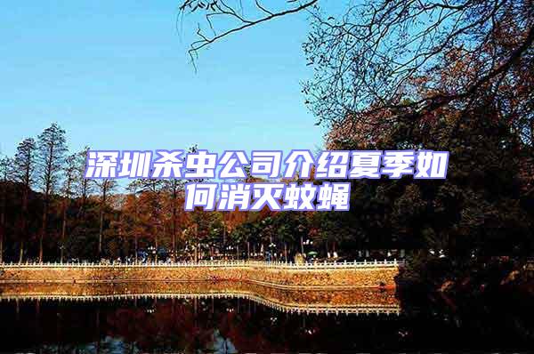 深圳殺蟲公司介紹夏季如何消滅蚊蠅