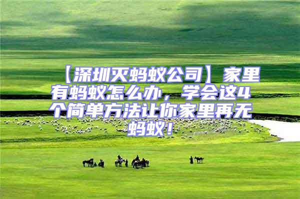 【深圳滅螞蟻公司】家里有螞蟻怎么辦，學會這4個簡單方法讓你家里再無螞蟻！