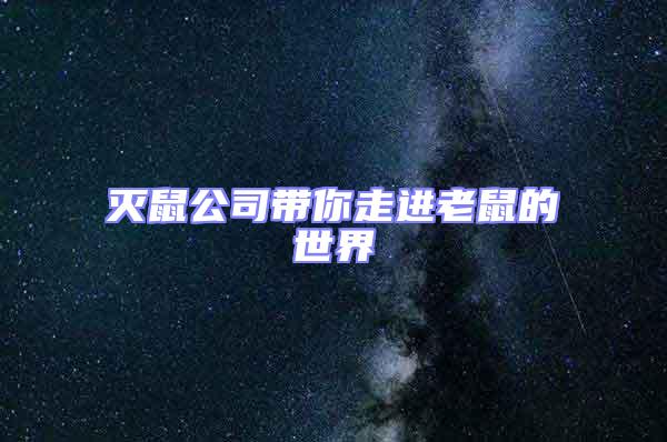 滅鼠公司帶你走進(jìn)老鼠的世界