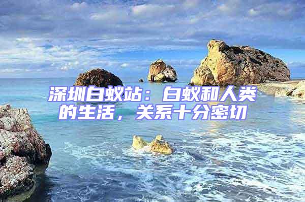 深圳白蟻站：白蟻和人類的生活，關系十分密切