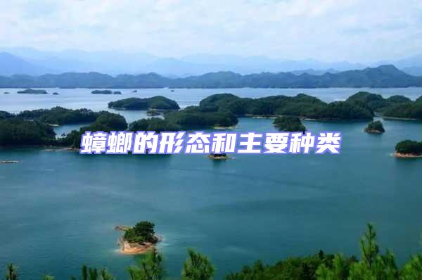 蟑螂的形態(tài)和主要種類