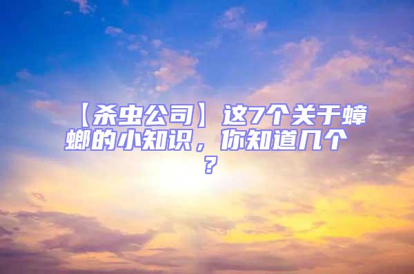 【殺蟲公司】這7個關于蟑螂的小知識,你知道幾個?