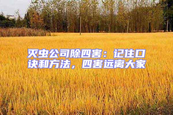 滅蟲公司除四害：記住口訣和方法，四害遠離大家