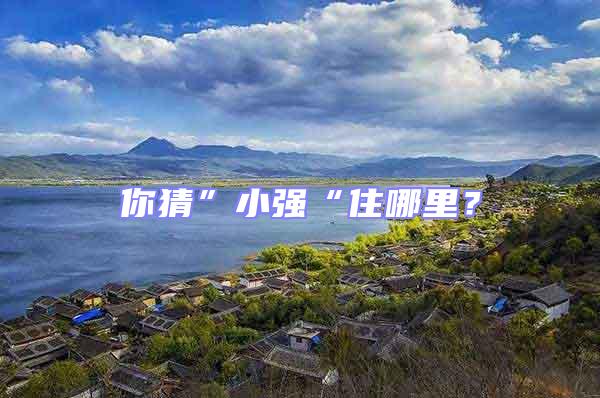 你猜”小強“住哪里？