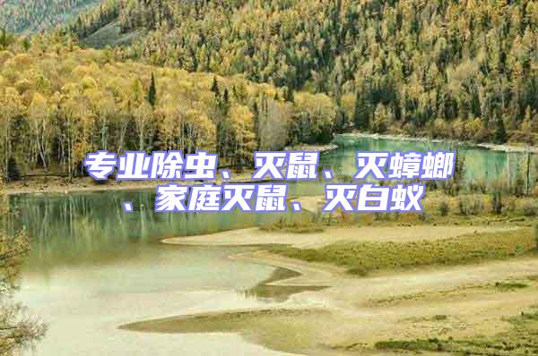 專業(yè)除蟲、滅鼠、滅蟑螂、家庭滅鼠、滅白蟻