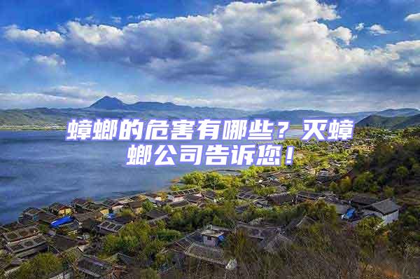 蟑螂的危害有哪些？滅蟑螂公司告訴您！