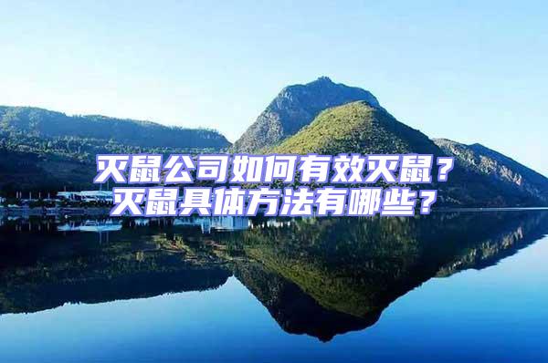 滅鼠公司如何有效滅鼠？滅鼠具體方法有哪些？