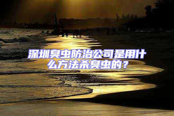 深圳臭蟲防治公司是用什么方法殺臭蟲的?