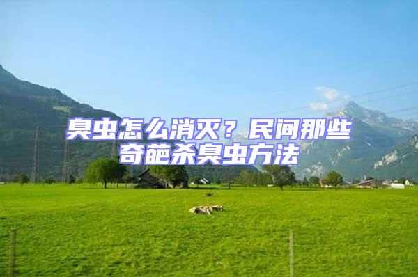 臭蟲怎么消滅？民間那些奇葩殺臭蟲方法