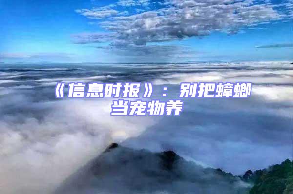 《信息時報》：別把蟑螂當寵物養