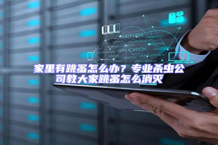 家里有跳蚤怎么辦？專業(yè)殺蟲(chóng)公司教大家跳蚤怎么消滅