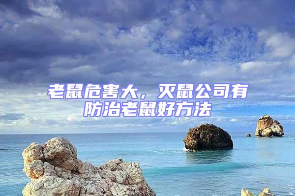 老鼠危害大,滅鼠公司有防治老鼠好方法