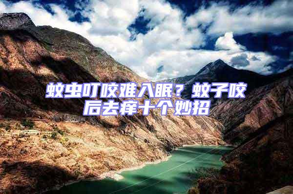 蚊蟲叮咬難入眠？蚊子咬后去癢十個妙招