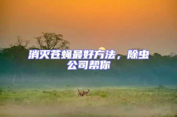 消滅蒼蠅最好方法，除蟲公司幫你