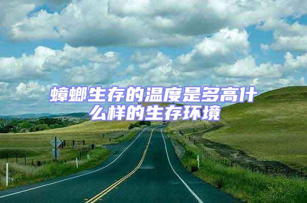蟑螂生存的溫度是多高什么樣的生存環境