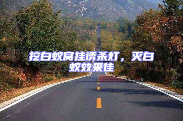 挖白蟻窩掛誘殺燈，滅白蟻效果佳