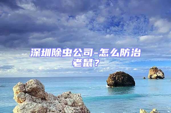 深圳除蟲公司-怎么防治老鼠？