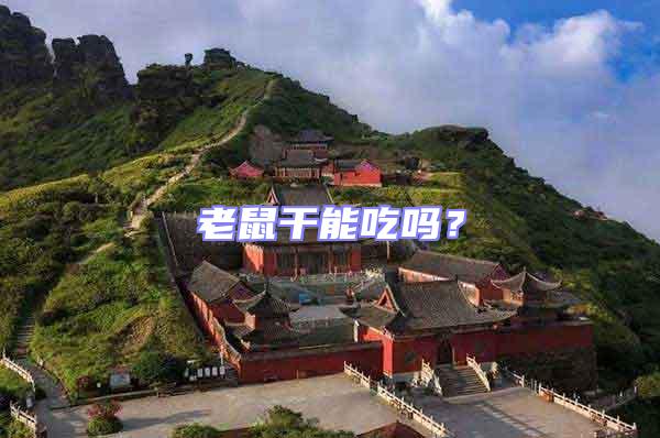 老鼠干能吃嗎？