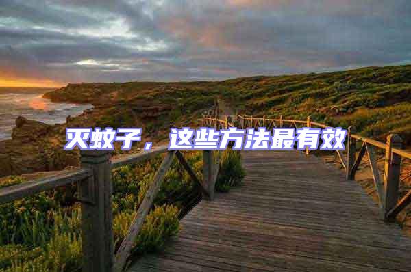 滅蚊子，這些方法最有效