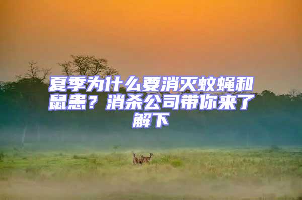 夏季為什么要消滅蚊蠅和鼠患？消殺公司帶你來(lái)了解下