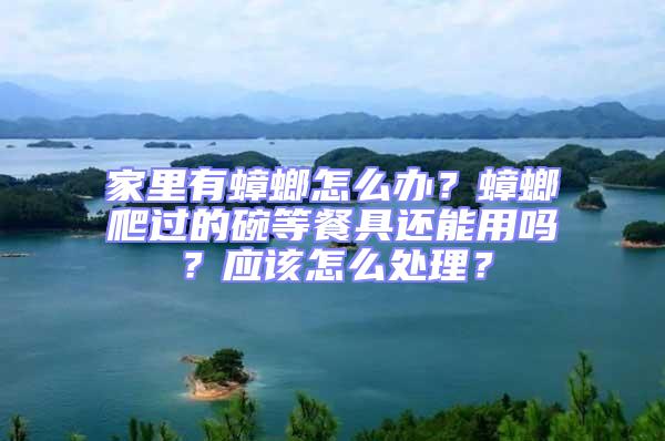 家里有蟑螂怎么辦？蟑螂爬過的碗等餐具還能用嗎？應(yīng)該怎么處理？