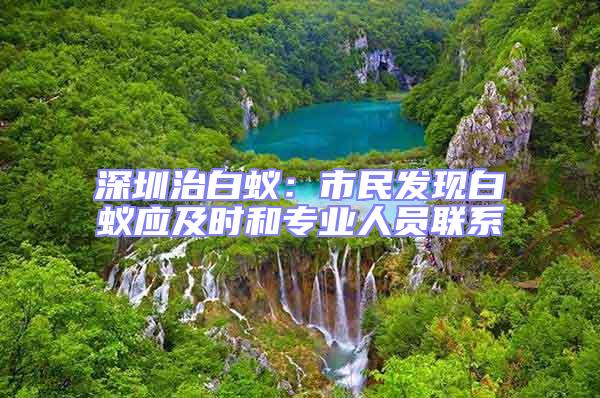 深圳治白蟻：市民發(fā)現(xiàn)白蟻應(yīng)及時和專業(yè)人員聯(lián)系