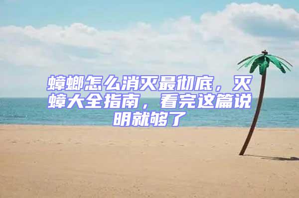 蟑螂怎么消滅最徹底，滅蟑大全指南，看完這篇說明就夠了