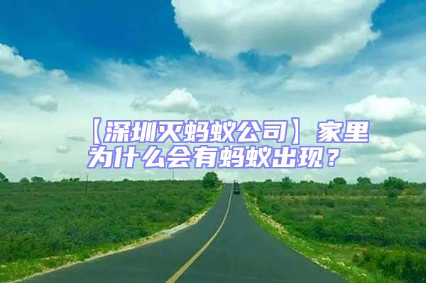 【深圳滅螞蟻公司】家里為什么會有螞蟻出現(xiàn)?