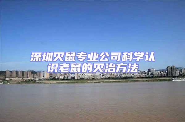 深圳滅鼠專業公司科學認識老鼠的滅治方法