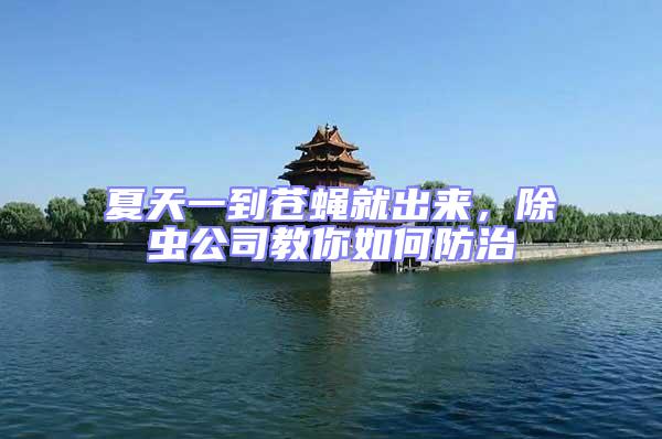 夏天一到蒼蠅就出來，除蟲公司教你如何防治