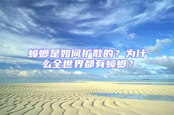 蟑螂是如何擴(kuò)散的？為什么全世界都有蟑螂？