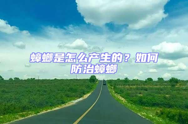 蟑螂是怎么產生的？如何防治蟑螂