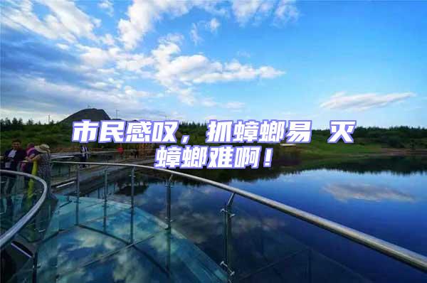 市民感嘆，抓蟑螂易 滅蟑螂難啊！