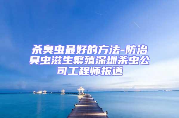 殺臭蟲最好的方法-防治臭蟲滋生繁殖深圳殺蟲公司工程師報(bào)道