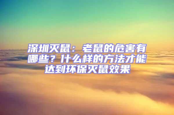 深圳滅鼠：老鼠的危害有哪些？什么樣的方法才能達到環保滅鼠效果