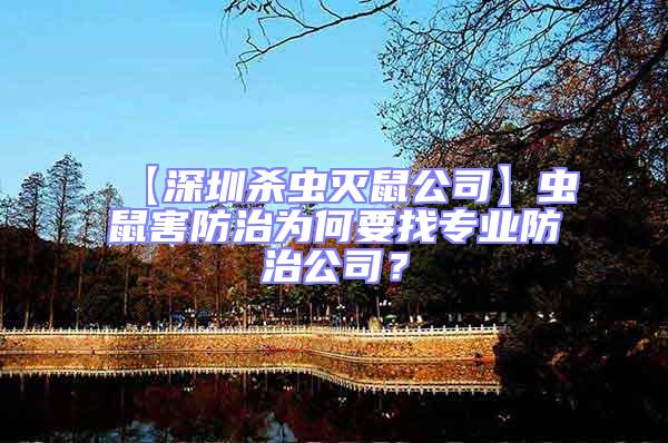 【深圳殺蟲滅鼠公司】蟲鼠害防治為何要找專業防治公司？